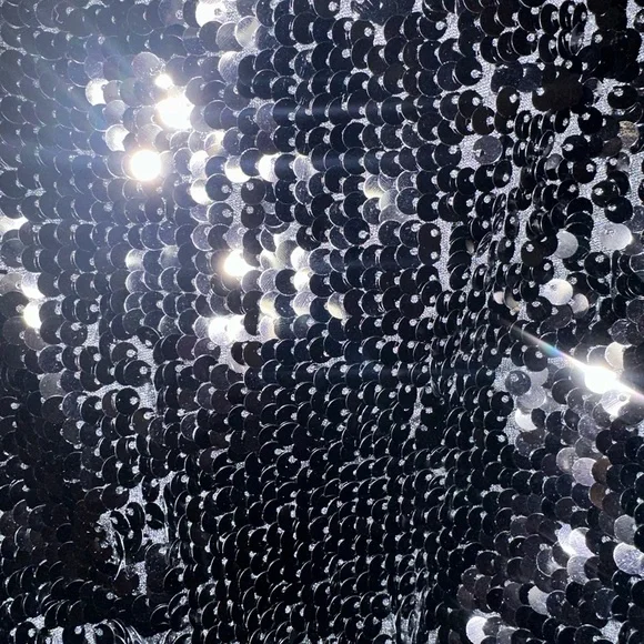 NWT Forever 21 Cropped Mesh & Sequin Tank Size Small - Picture 3 of 8